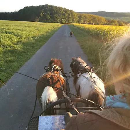 Apartment Lavendelmond Ferien Struchtrup