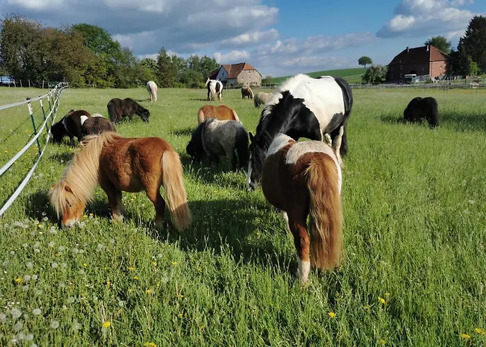 Daire Lavendelmond Ferien Struchtrup