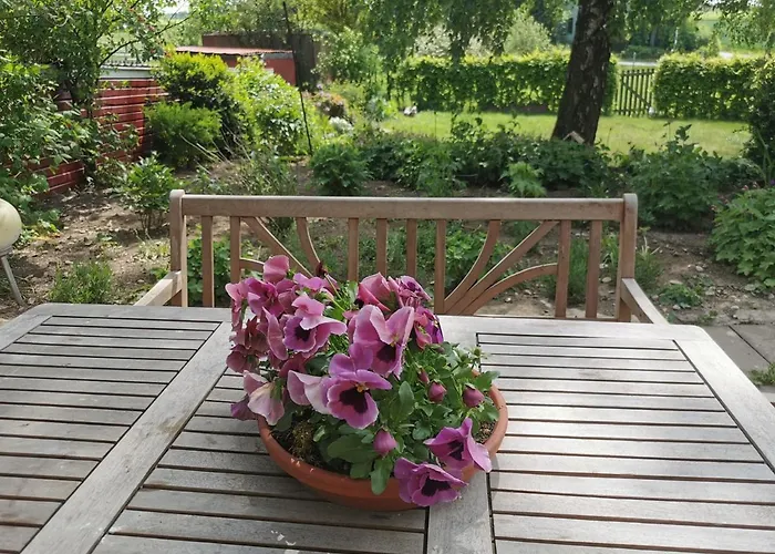 Lavendelmond Ferien * Struchtrup