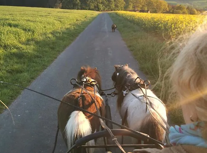 Daire Lavendelmond Ferien Struchtrup